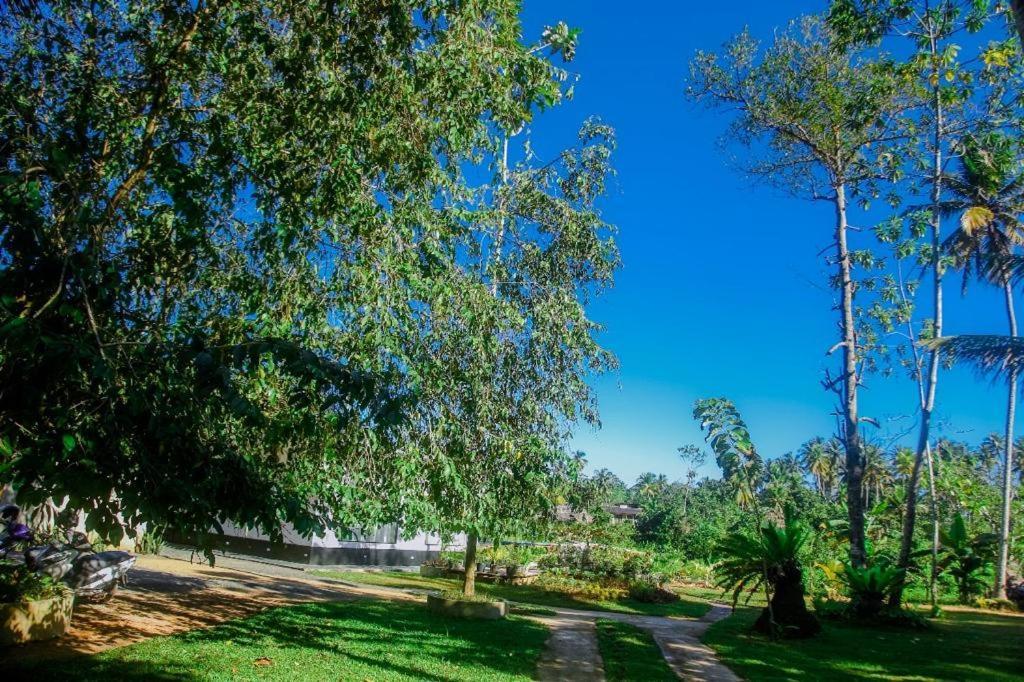 The Glade Aparthotel Weligama Buitenkant foto